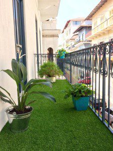 Morning light at the balcony of Casco Yoga Panama, Detox Yoga