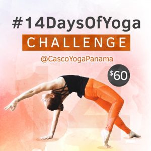 14 Days Of Yoga Challenge at Casco Yoga Panama, Casco Viejo. Panama City. Yoga En Panama