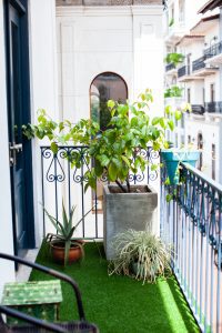 Casco Yoga Panama, Yoga Studio. Casco Viejo. Panama City, Panama. Yoga Panama. Ashtanga yoga panama. Vinyasa yoga panama. clases de yoga en panama. Casco Antiguo Panama. boutique yoga studio